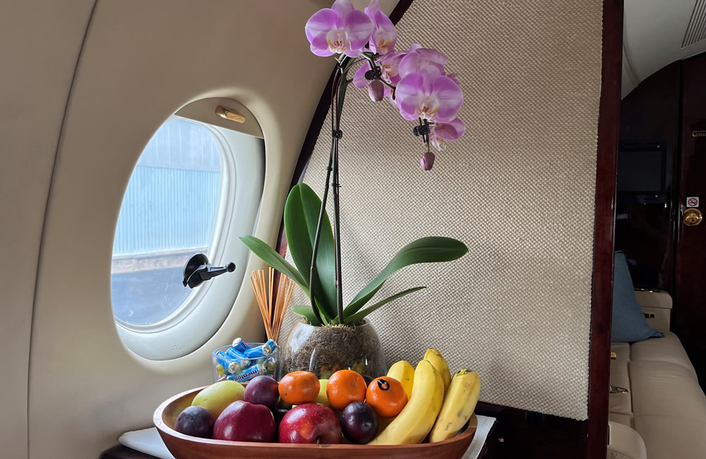 Falcon 900B interior