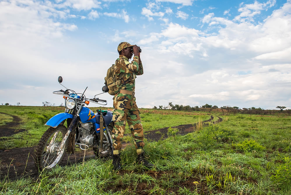 Rhino Monitoring Field Ranger